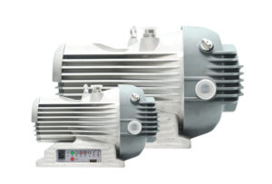 wxp-300x203.jpg